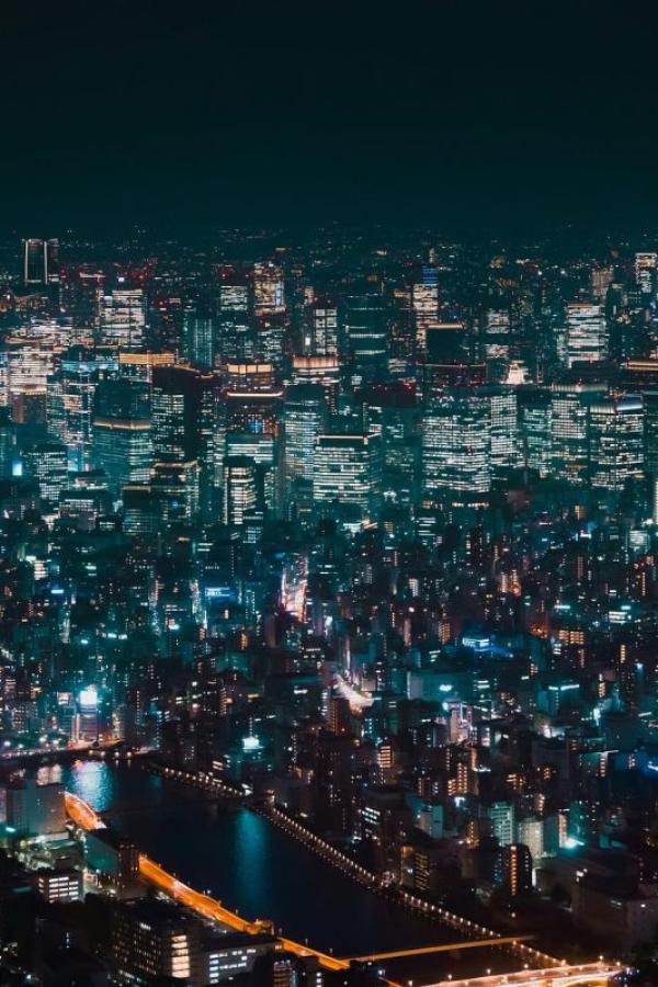 世界游泳锦标赛